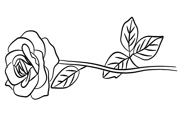 ורד